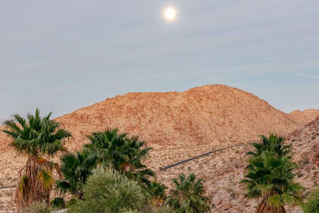 View from the house of the road going up to 49 Palms Oasis Trail head